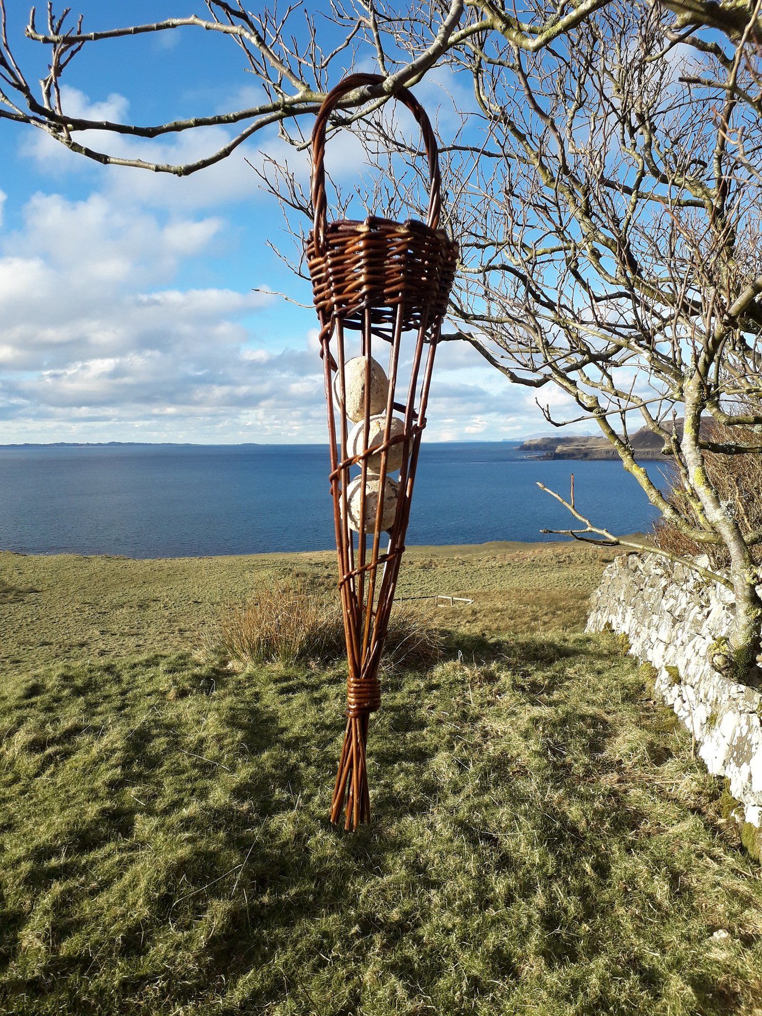 A Fat Ball Feeder hanging from a tree in front of the sea